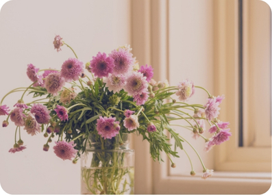 Pink flowers in a vase